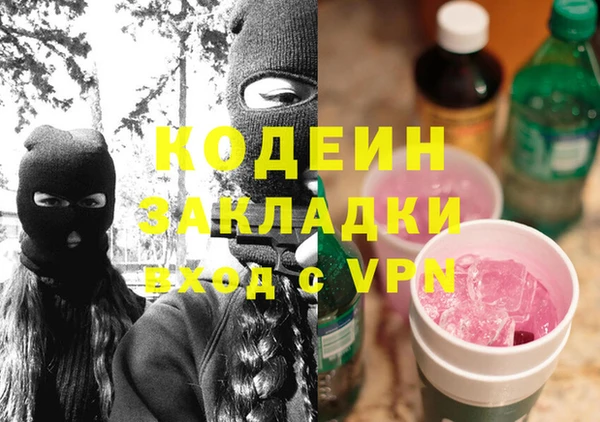 крисы Богородицк