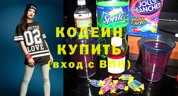 крисы Богородицк