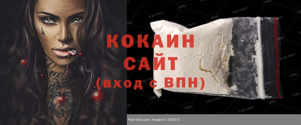 крисы Богородицк
