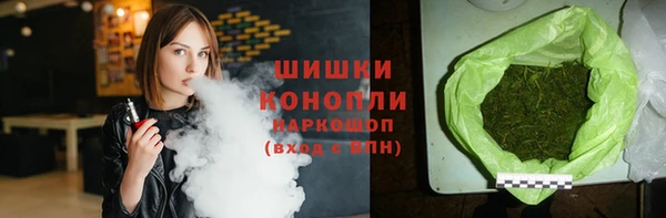 крисы Богородицк