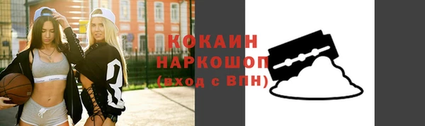 крисы Богородицк