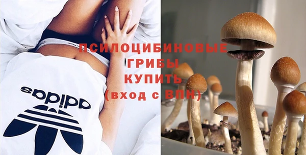 бутират Богородск