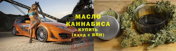 крисы Богородицк