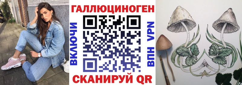 как найти наркотики Очёр гидра ССЫЛКА Псилоцибиновые грибы ЛСД